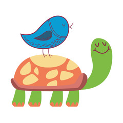 Bird on turtle