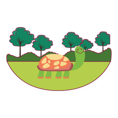turtle cute cartoon