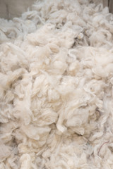 Close up of Australian Merino Wool Warm Craft Fibre/Fabric Industry Concept