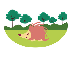 porcupine cute animal cartoon