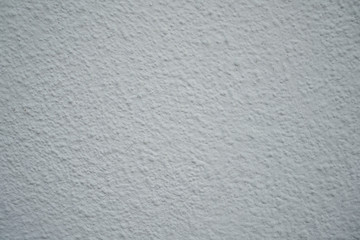 white wall background