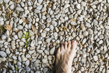 A barefoot aerial view on stone surface in the forest
