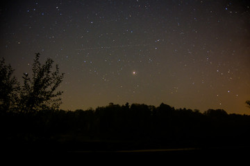 Mars surround by stars rises over the forest at night