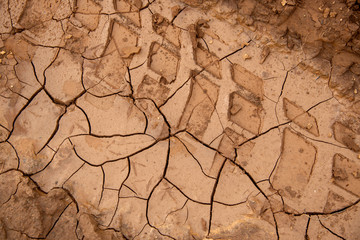 aufgeplatzter Lehmboden mit Reifenspuren, Symbolbild für Umweltzerstörung