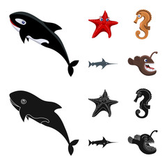Vector illustration of sea and animal symbol. Collection of sea and marine vector icon for stock.