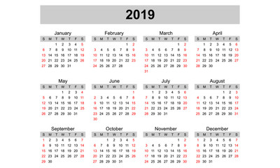 Simple calendar template for 2019 year isolated on white background. Vector illustration