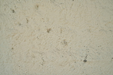 stone wall detail