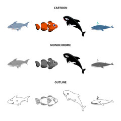 Vector design of sea and animal symbol. Collection of sea and marine stock vector illustration.