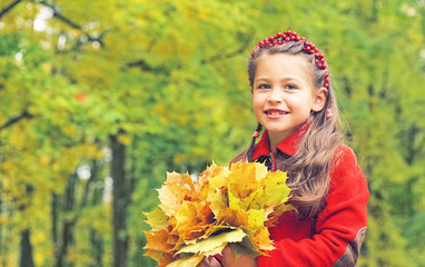 Bouquet of yellow maple leaves in hands of little girl in red coat. Sunny autumn day. Bright colors of autumn.