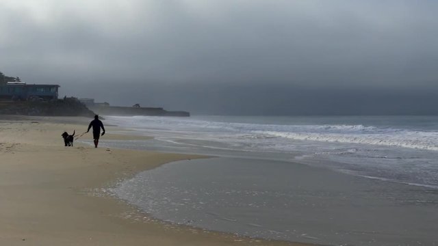 Santa Cruz, Powell Beach on the northern Monterey Bay in Santa Cruz County, California, USA, circa June 2017