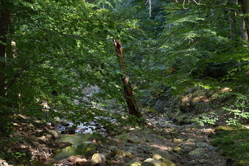 Ilse im Harz, Sachsen - Anhalt