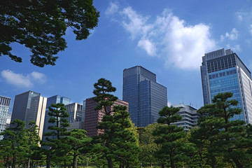 Obraz premium Garden view looking up at Tokyo Skyline
