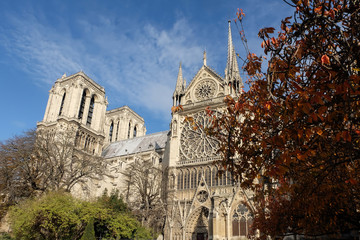 Fototapeta na wymiar Notre Dame de Paris Cathedral, most beautiful Cathedral in Parisl. France.
