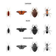 Vector design of insect and fly sign. Set of insect and element stock vector illustration.