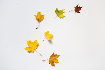 Autumn composition. Leaves in red, green and yellow. Thanksgiving day. Flat lay, top view