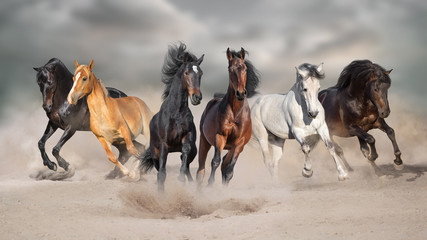 Paarden rennen galop vrij in woestijnstof tegen stormhemel
