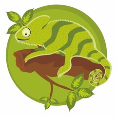 Vector illustration chameleon