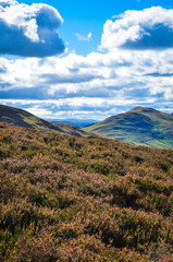 Obraz premium Sceanic hilly view