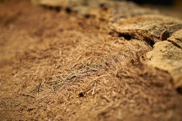 wood texture