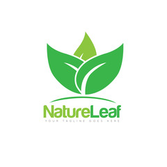 green leaf logo and icon Vector design Template. Vector Illustrator Eps10