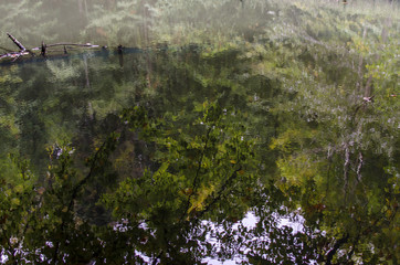 Jeziorka Duszatyńskie  © wedrownik52