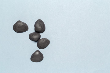 Natural colorful cockleshells  on a textured lightly grey background