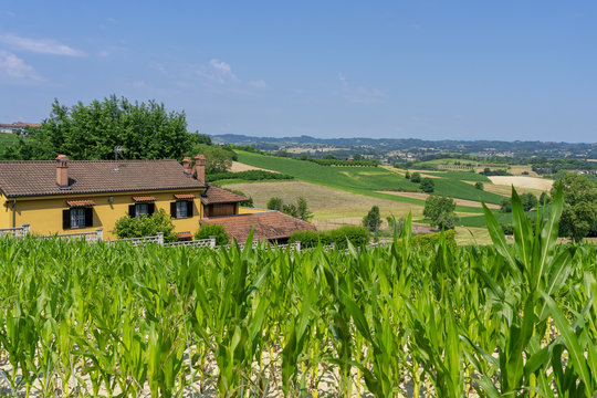 Road to Antignano and San Martino Alfieri, Asti, in Monferrato