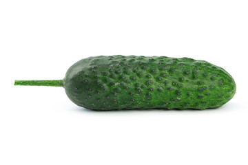 cucumber isolated on white background