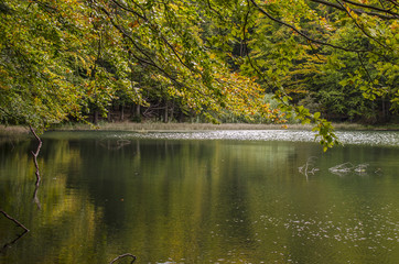 Jeziorka Duszatyńskie  © wedrownik52