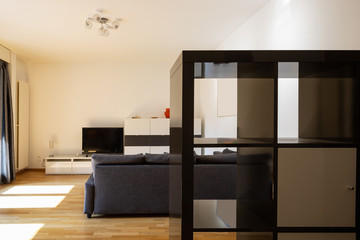 Modern living room with parquet and dark sofa