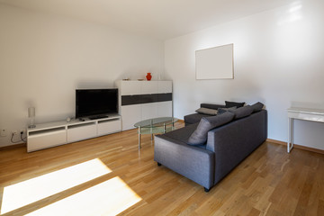 Modern living room with parquet and dark sofa