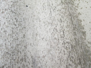texture white wall abstract