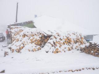 Cut logs in a winter wood under snowdrifts. Snow-covered old wooden houses and heaps of firewood.