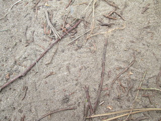 texture stone wall brown