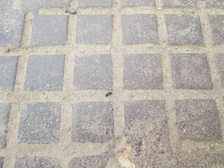 texture of the brickwork