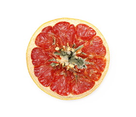 Moldy grapefruit slice, half isolated on white background, top view