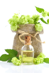 Fresh green hops (Humulus) in burlap bag with medicinal plant extract in glass bottle on white background