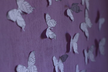 pattern, butterfly, design, flower, illustration, seamless, abstract, nature, wallpaper, floral, butterflies, pink, art, spring, decoration, texture, blue, ornament