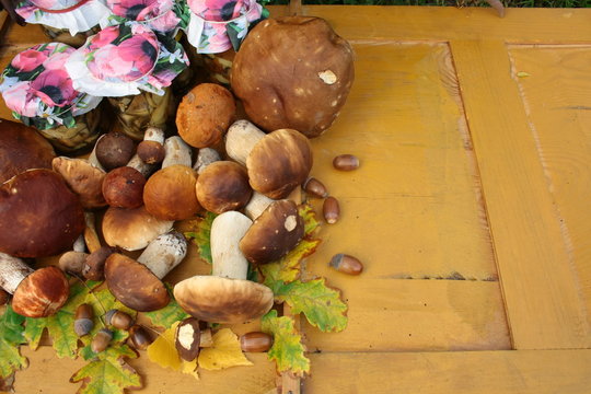 Freshly picked forest mushrooms, marinated mushrooms in jars, acorns and oak leaves on yellow boards, autumn background