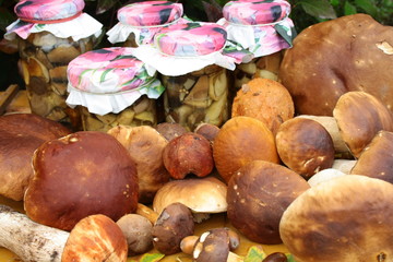 Jars with pickled mushrooms surrounded by freshly picked boletuses