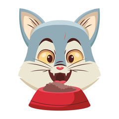 Cat eating food
