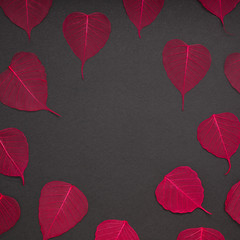 Red leaves pattern black paper background