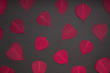 Red leaves pattern black paper background