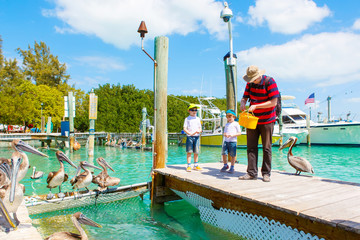 father and two little kid boys feeding fishes and pelicans