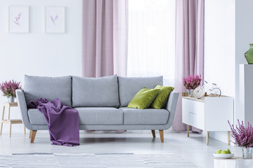 Elegant living room with big comfortable grey couch with olive green pillows and violet blanket in...