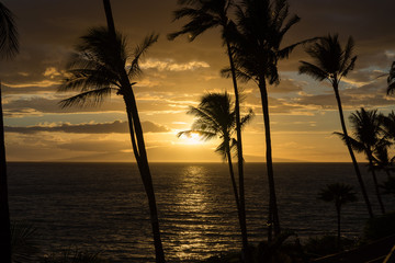 sunset on the beach