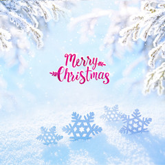 Winter Christmas snowy colorful idealistic forest landscape postcard with spruce branches covered  snow and falling snow outdoors. Decorative snowflakes in sunny day, congratulation Merry Christmas.