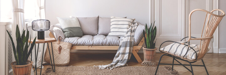 Panorama of armchair near wooden sofa in natural living room interior with plants. Real photo