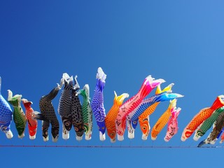 Koinobori, Carp streamer pray for growth of child