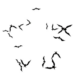 Halloween background with black bats on white. Halloween party card background template. black flying bats.